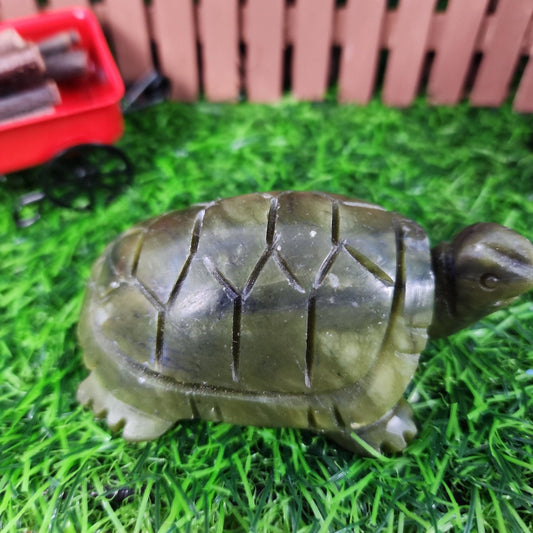 Serpentine Turtle Carving - MagicBox Crystals