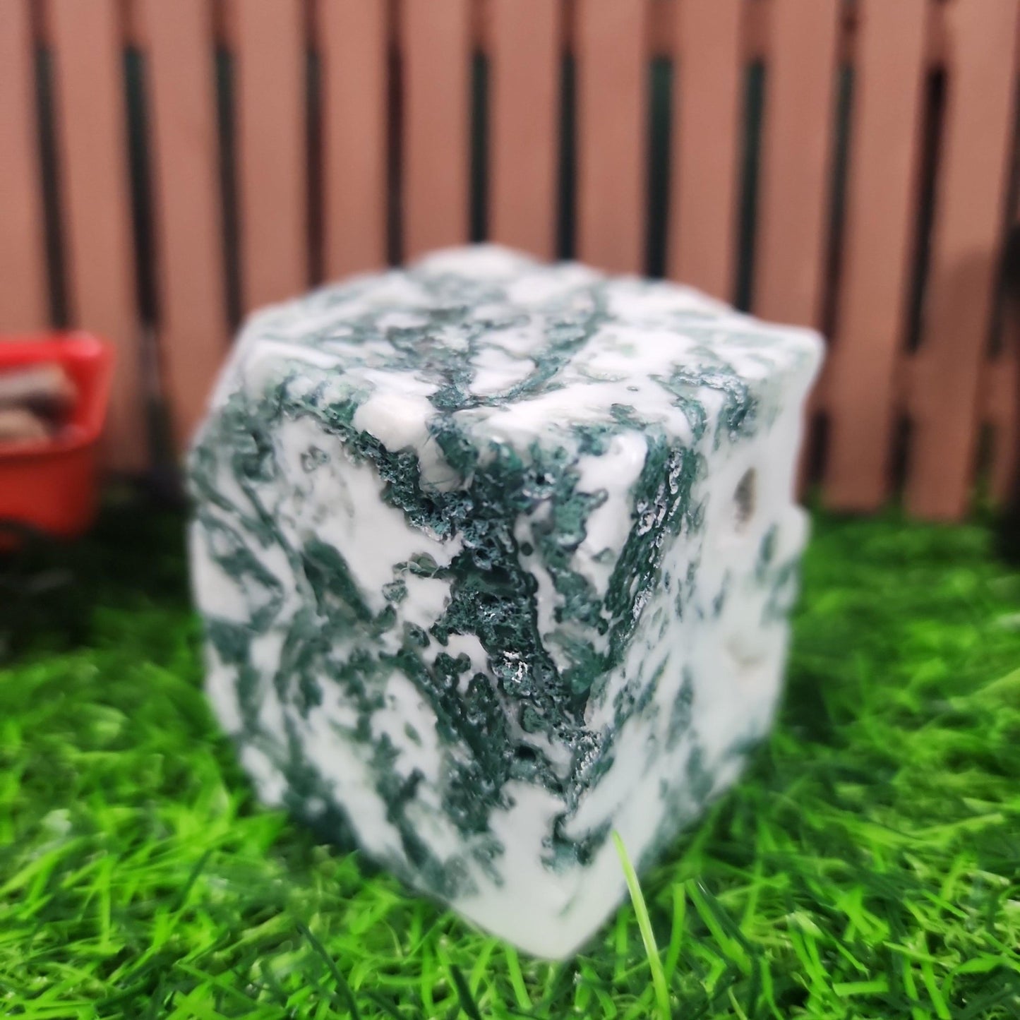 Tree Agate Cube - MagicBox Crystals