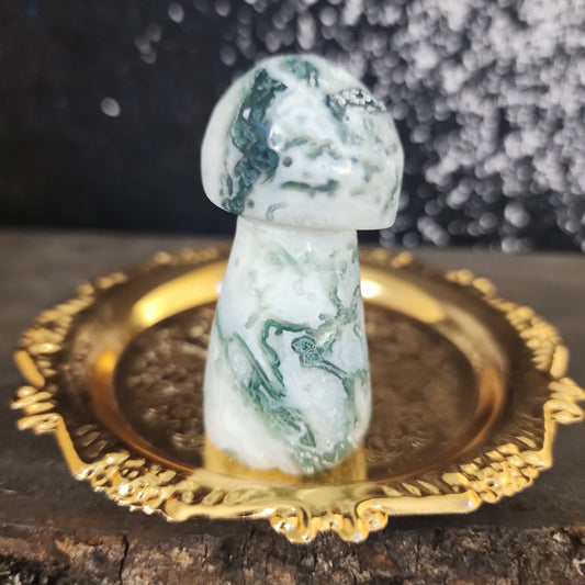 Tree Agate Mushroom - MagicBox Crystals