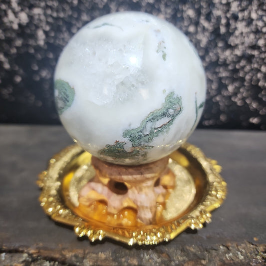 Tree Agate Sphere - MagicBox Crystals