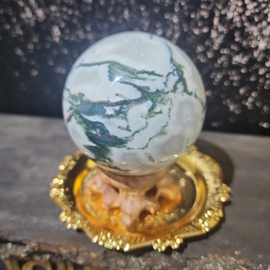 Tree Agate Sphere - MagicBox Crystals