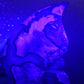 Volcanic Agate Butterfly Wings - MagicBox Crystals